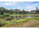 Scenic view of the pond, lined with mature trees and lush greenery at 1937 N Highland Ave, Clearwater, FL 33755