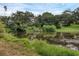 Waterfront view of a peaceful pond lined with lush trees and vegetation on a partly cloudy day at 1937 N Highland Ave, Clearwater, FL 33755