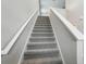 Carpeted staircase with white handrails leading to the upper level of the home at 3824 Radiant Mountain Dr, Plant City, FL 33565