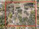 Expansive aerial view of a property with a pond, trees and multiple buildings within the parcel at 3634 Apfel Rd, Wesley Chapel, FL 33543