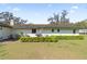 Backyard view of the home, featuring a grill, surrounded by manicured hedges and green lawn at 3634 Apfel Rd, Wesley Chapel, FL 33543