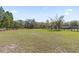 Spacious pasture with lush green grass, mature trees, and clear blue sky at 3634 Apfel Rd, Wesley Chapel, FL 33543