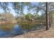 Picturesque pond surrounded by mature trees offering a serene and natural setting for this unique property at 3634 Apfel Rd, Wesley Chapel, FL 33543