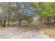 Scenic view of pond, trees, and foliage at the edge of a cleared back yard at 3634 Apfel Rd, Wesley Chapel, FL 33543