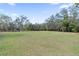 Expansive yard with fire pit, surrounded by mature trees, offers a private, outdoor setting at 3634 Apfel Rd, Wesley Chapel, FL 33543