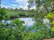 Serene waterfront view with lush greenery, showcasing a peaceful setting among trees and reflective waters at 5275 Miller Bayou Dr, Port Richey, FL 34668