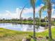 Picturesque view of the tranquil pond surrounded by well-maintained lawns and mature palm trees at 4949 Sandy Glen Way, Wimauma, FL 33598