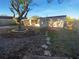 Backyard with a large tree and stepping stones to the house at 7440 Kildare St, New Port Richey, FL 34653