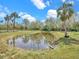 Reflective pond with lush surroundings, creating a serene and picturesque landscape at 8123 Double Branch Rd # 1, Tampa, FL 33635