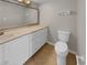 Well-lit bathroom featuring modern fixtures and a spacious vanity with storage at 13516 Palmwood Ln, Tampa, FL 33618