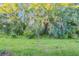 Lush backyard with green grass and mature trees at 32859 Pez Landing Ln, Wesley Chapel, FL 33543