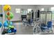Community gym includes dumbbells, medicine balls, and up to date equipment at 32859 Pez Landing Ln, Wesley Chapel, FL 33543
