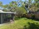 Lush backyard featuring a screened-in porch and privacy fence at 4906 W Cleveland St, Tampa, FL 33609