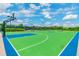 Outdoor basketball court with professional lighting, manicured landscaping and two goals at 2709 Coco Palm Cir, Wesley Chapel, FL 33543
