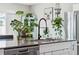 Close up of kitchen island with stainless steel sink and appliances surrounded by plants at 7617 Wallflower Trl, Wesley Chapel, FL 33545