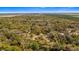 Vast land aerial showcasing mature trees, dense foliage, and defined property lines within a natural landscape setting at 18218 Railroad Rd, Spring Hill, FL 34610