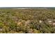Expansive aerial view of a wooded property with mature trees and lush greenery at 18218 Railroad Rd, Spring Hill, FL 34610