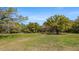 Expansive green field with scattered trees, offering a serene and natural setting at 18218 Railroad Rd, Spring Hill, FL 34610
