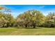 Spacious green front yard featuring mature trees offering shade and natural beauty, a peaceful outdoor setting at 18218 Railroad Rd, Spring Hill, FL 34610