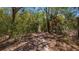 Sun dappled path through mature trees at 18218 Railroad Rd, Spring Hill, FL 34610