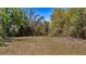 Natural lot showcasing lush greenery, native trees, and a partially cleared area ready for your imagination at 18218 Railroad Rd, Spring Hill, FL 34610