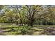 Lush green grounds featuring large mature trees and ample space creating a peaceful and scenic outdoor environment at 18218 Railroad Rd, Spring Hill, FL 34610