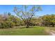 Large grassy field with towering trees and a small barn at 18218 Railroad Rd, Spring Hill, FL 34610