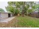 View of the backyard showcasing a large tree, a wooden fence, and the rear of the house at 4129 Highland Loop, New Port Richey, FL 34652
