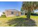 Exterior view of a single-story home in a grassy backyard with a small palm tree and fencing at 10105 Vineyard Ln, Port Richey, FL 34668