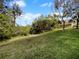 Expansive backyard featuring lush green grass, mature trees, and a tranquil setting under a blue sky at 8869 White Sage Loop, Lakewood Ranch, FL 34202