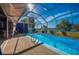 A gorgeous pool with enclosure and covered patio with seating overlooking beautiful green space at 31028 Baclan Dr, Wesley Chapel, FL 33545