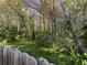 Wooded backyard area with mature trees and vegetation is enclosed by a weathered wooden fence at 11823 Derbyshire Dr, Tampa, FL 33626