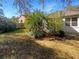 Lush backyard with mature trees and shrubs, offering a private outdoor space at 11823 Derbyshire Dr, Tampa, FL 33626