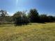 Expansive backyard with mature trees and ample space for outdoor activities at 11826 Sky Acres Ter, Bradenton, FL 34211
