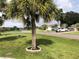 Lush front yard featuring well-manicured lawn and mature palm trees at 26187 Argentina Dr, Punta Gorda, FL 33983