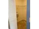 Empty walk-in closet with wire shelving and tiled flooring at 1210 Etchfield Cir, Brandon, FL 33511