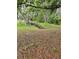 View of creek and treed lot at 12627 W Cherrydale Ln, Hudson, FL 34669