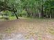 Wooded backyard with mature trees and creek at 12627 W Cherrydale Ln, Hudson, FL 34669