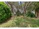 Serene backyard with lush greenery, offering a private and tranquil retreat at 2436 Deer Trail Ln, Spring Hill, FL 34606
