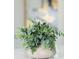 Close-up of decorative plant arrangement at 520 Baywood S Dr, Dunedin, FL 34698