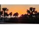 A beautiful view of the sunset over the ocean from the beach surrounded by palm trees at 1581 Gulf Blvd # 102N, Clearwater Beach, FL 33767
