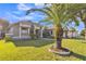 Charming single-story home featuring a manicured lawn and lush palm tree at 1647 Stable Trl, Palm Harbor, FL 34685