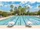 Resort-style pool with lap lanes is surrounded by palm trees, comfortable loungers and sunshades at 32554 Silvercreek Way, Wesley Chapel, FL 33545