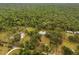 Aerial view of the property showing the lush surrounding landscape at 10809 Cedar Cove Drive, Thonotosassa, FL 33592