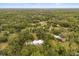 Expansive aerial view of a home surrounded by a dense forest at 10809 Cedar Cove Drive, Thonotosassa, FL 33592