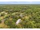 Aerial view of the home nestled among the trees at 10809 Cedar Cove Drive, Thonotosassa, FL 33592