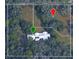 Aerial view of home nestled among trees at 10809 Cedar Cove Drive, Thonotosassa, FL 33592