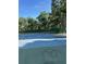 Full view of outdoor community tennis court featuring a green playing surface and mature trees at 8653 Fancy Finch Dr # 102, Tampa, FL 33614
