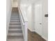 Carpeted staircase with white banister, leading to the upper level of the home at 7294 Deer Valley Cir, Tampa, FL 33635