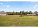 Expansive backyard featuring a playset with a wooden fence and treeline surrounding the property at 16805 Tobacco Rd, Lutz, FL 33558
